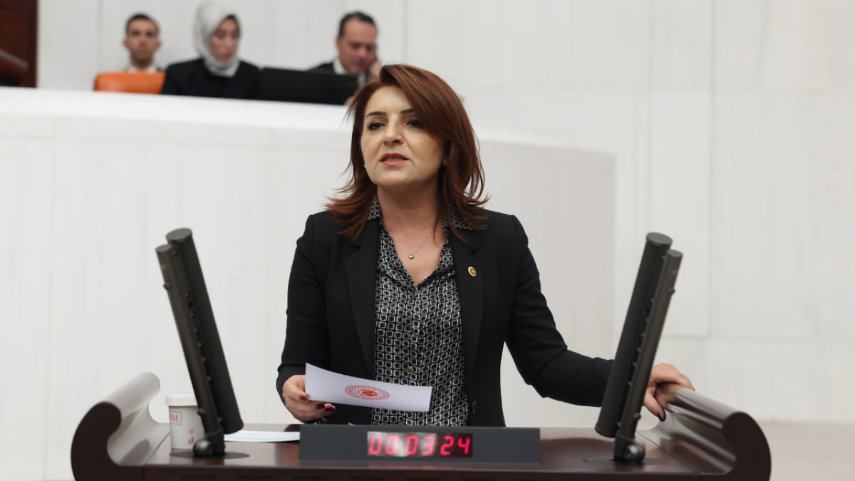 CHP’li Kış: “Bu teklif vergi değil, tahakküm yasasıdır”