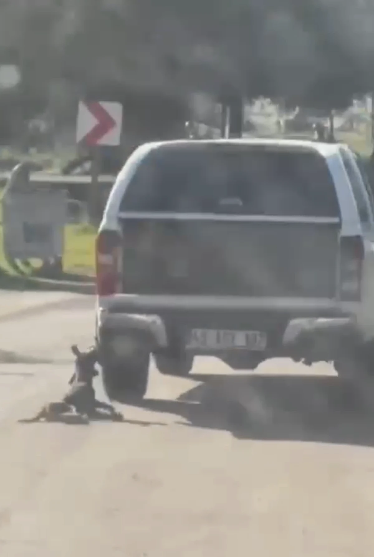 Köpeği metrelerece araçla sürüklemişlerdi… O canilere gereği yapıldı!