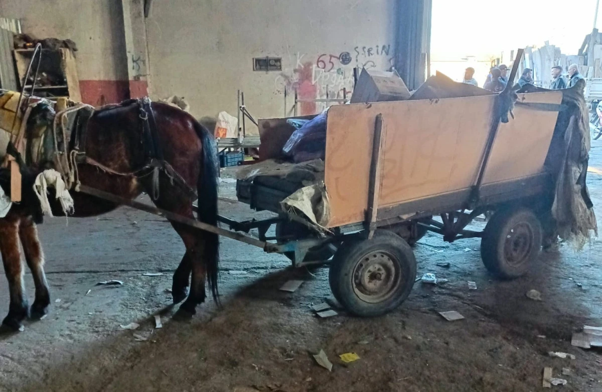 Manisa’da at arabası operasyonu: 2 araç trafikten men edildi