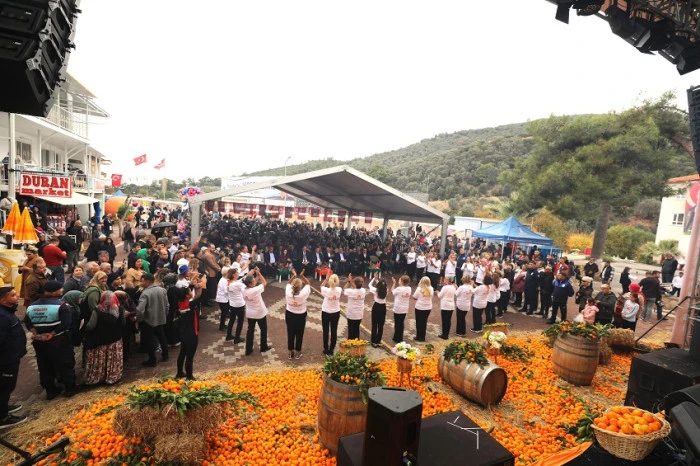 Menderes’te Mandalina Festivali Başlıyor