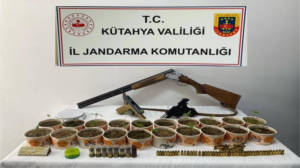 Jandarmadan kenevir operasyonu

