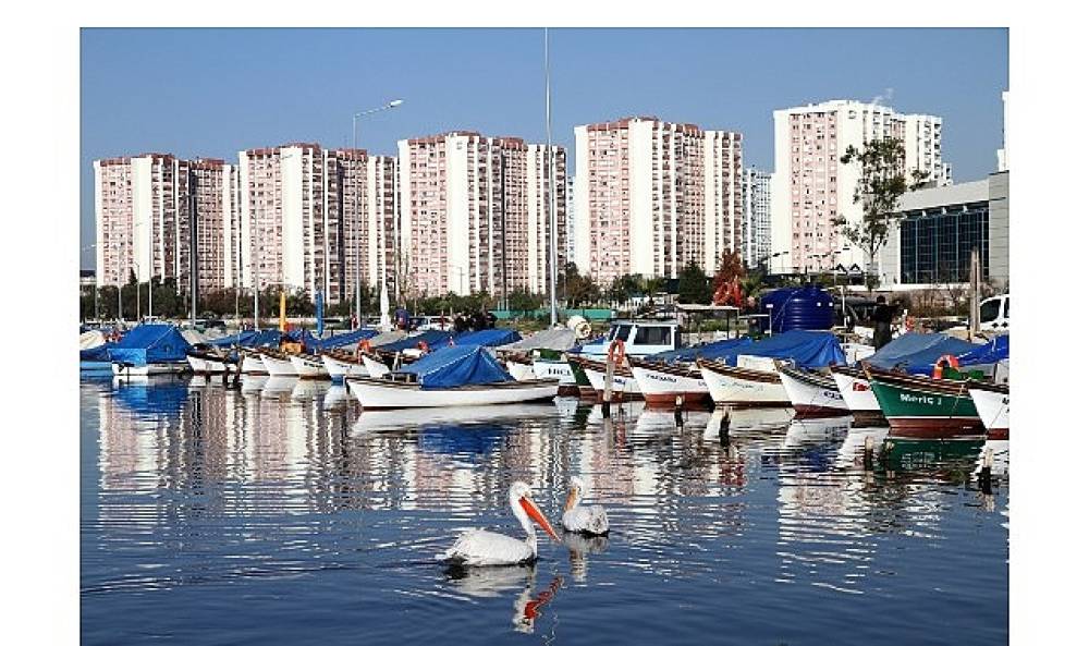 Karşıyaka Belediyesi yapı ruhsat işlemlerini dijital ortama taşıyor