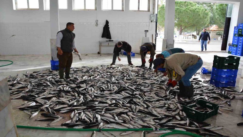 Nisan ayında Muğla’dan ülke ekonomisine 95,2 milyon dolarlık ihracat katkısı
