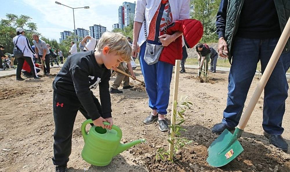  Karşıyaka'da zeytin fidanları toprakla buluştu