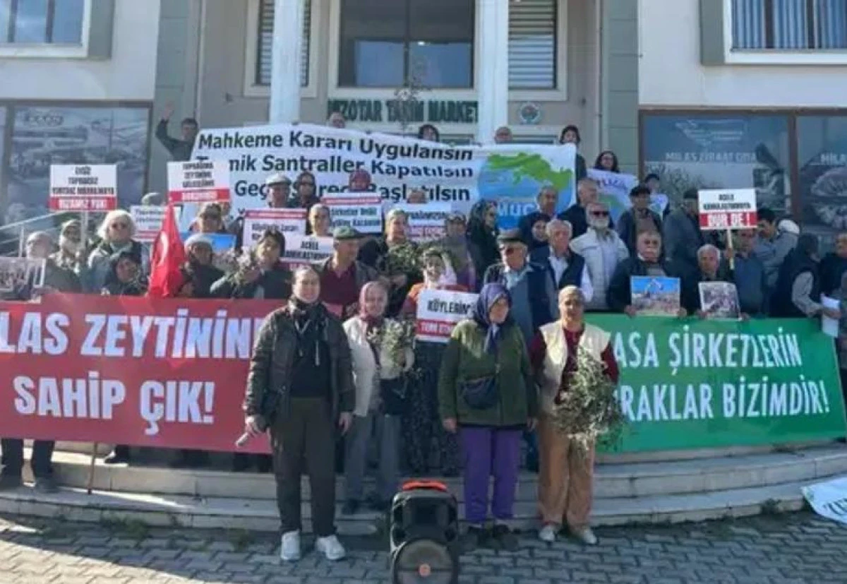 Akbelen Ormanları i&ccedil;in k&ouml;yl&uuml;lerden &ccedil;ağrı: Milas&rsquo;a ihanet etmekten vazge&ccedil;in
