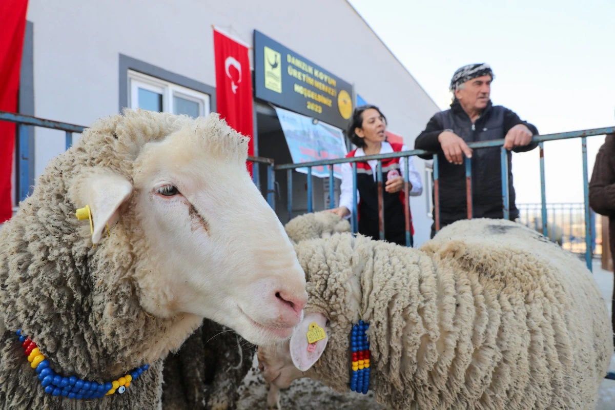 Aliağa Belediyesi’nden çiftçilere yeni destek