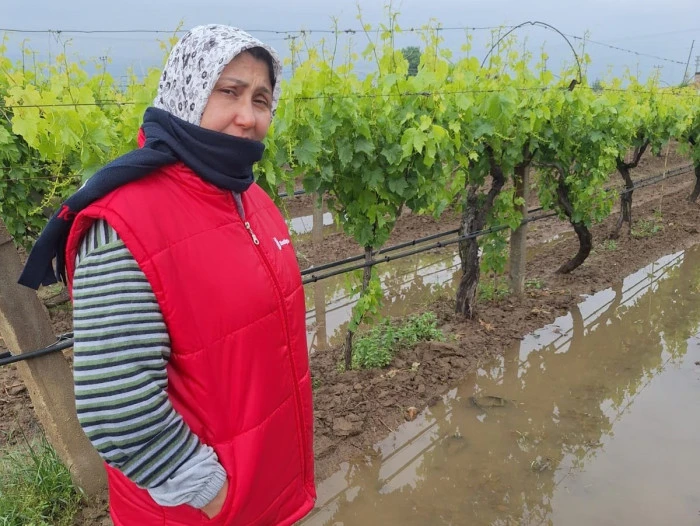 Bahar yağmurları üreticiyi sevindirdi