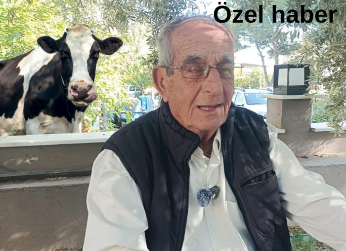 Başka yok üretici son derece sıkıntıda destekler yetersiz dedi