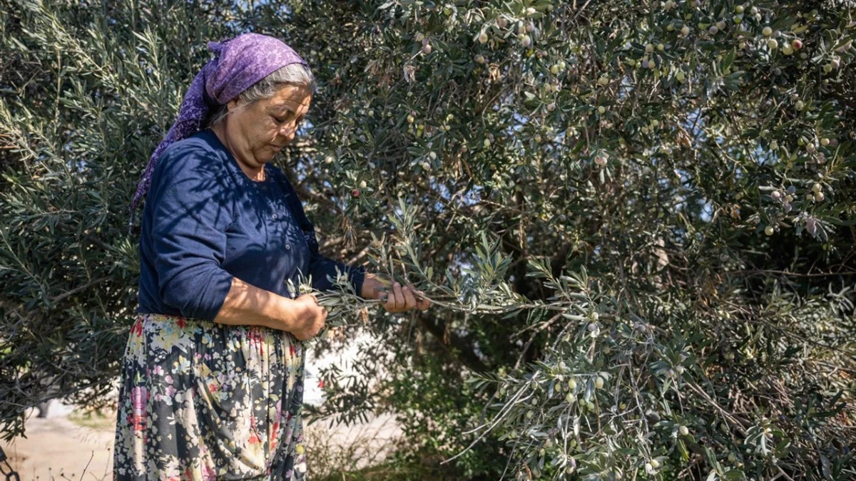 Başkan Eşki: Bornova’nın tarımsal kimliğini güçlendiriyoruz