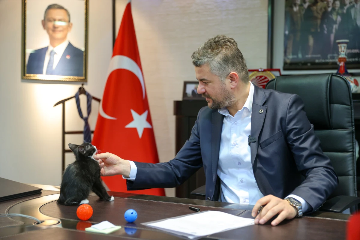 Buca Belediye Başkanı Duman’dan sokak hayvanları için çağrı