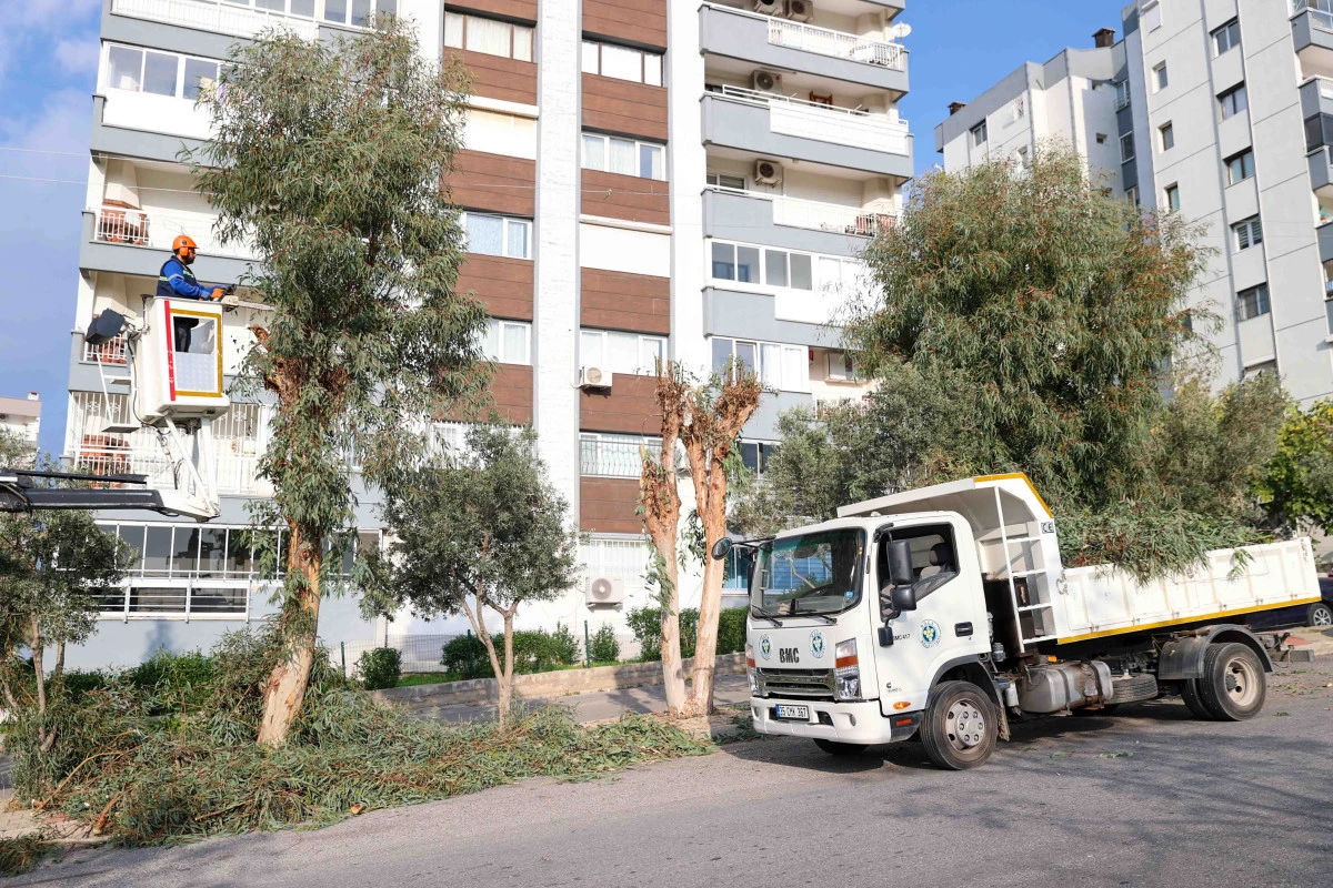 Buca’da budama seferberliği başladı