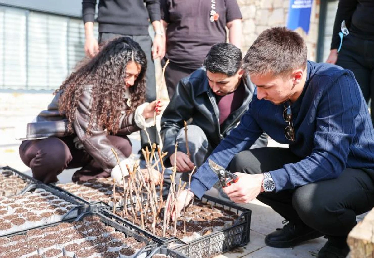 Buca&rsquo;nın &uuml;z&uuml;m bağları gen&ccedil; ziraat m&uuml;hendislerine eğitim alanı oldu