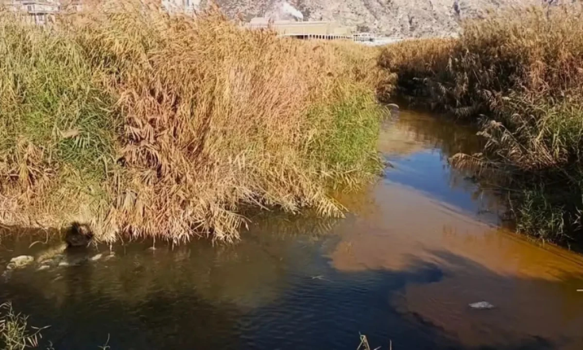 B&uuml;y&uuml;k Menderes Nehri&rsquo;nde kara su alarmı