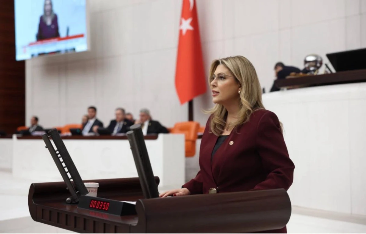 CHP&rsquo;li Elvan Işık Gezmiş: Beş emeklinin maaşı yoksulluk sınırını aşamıyor