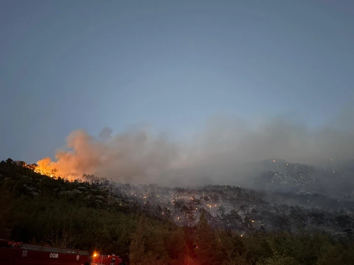 Denizli’deki orman yangını sabah kontrol altına alındı
