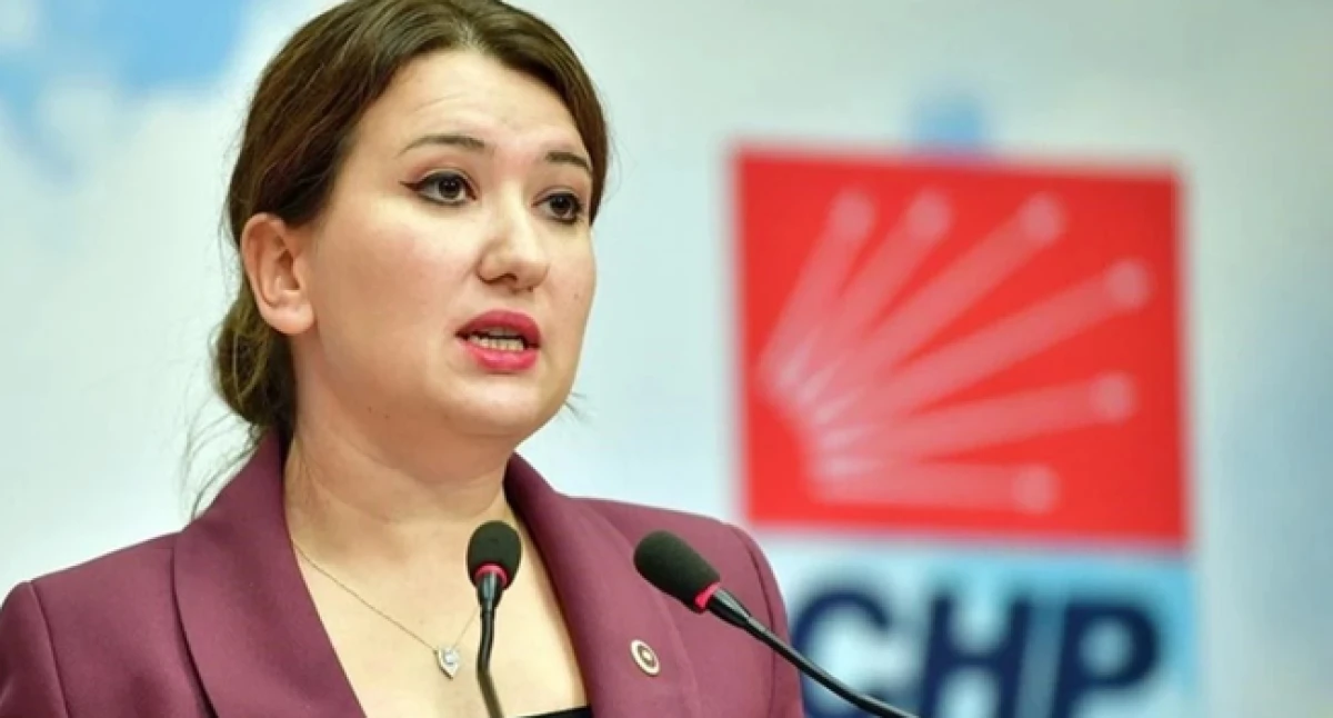 G&ouml;k&ccedil;e G&ouml;k&ccedil;en: AYM kararını uygulamamak telafisi olmayan zararlar doğuruyor