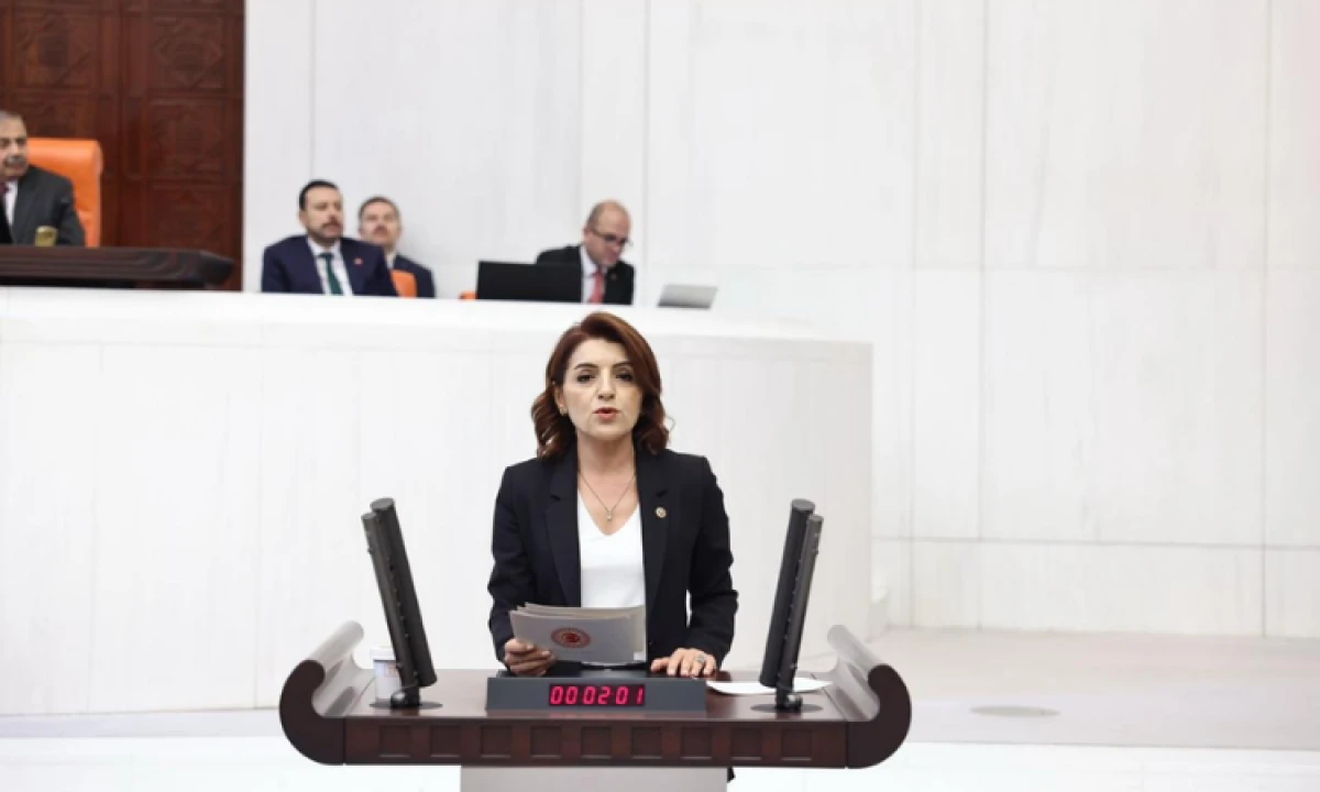 G&uuml;lcan Kış, Aile Yılı&rsquo;nı a&ccedil;lık ve bor&ccedil;la eleştirdi