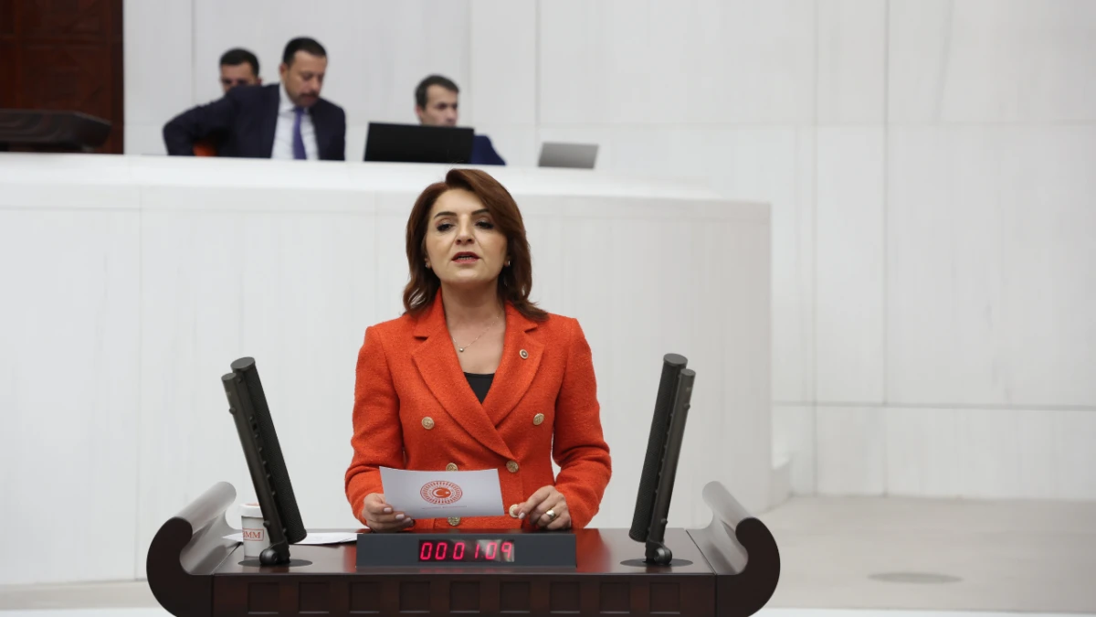 Gülcan Kış: “Bu Düzen Halkın Tasfiyesidir”