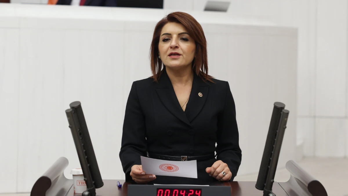 Gülcan Kış: Türkiye’de Borç Krizi Büyüyor