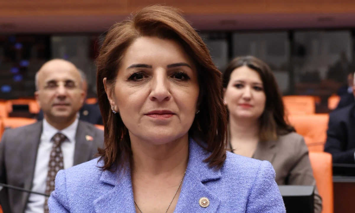 G&uuml;lcan Kış&rsquo;tan bor&ccedil; krizi i&ccedil;in yapılandırma hamlesi