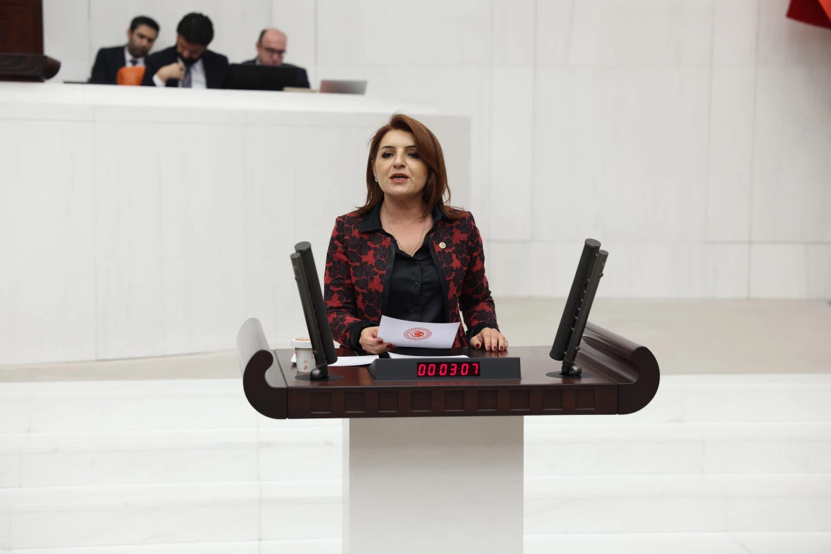 G&uuml;lcan Kış&rsquo;tan trafik cezalarına sert eleştiri