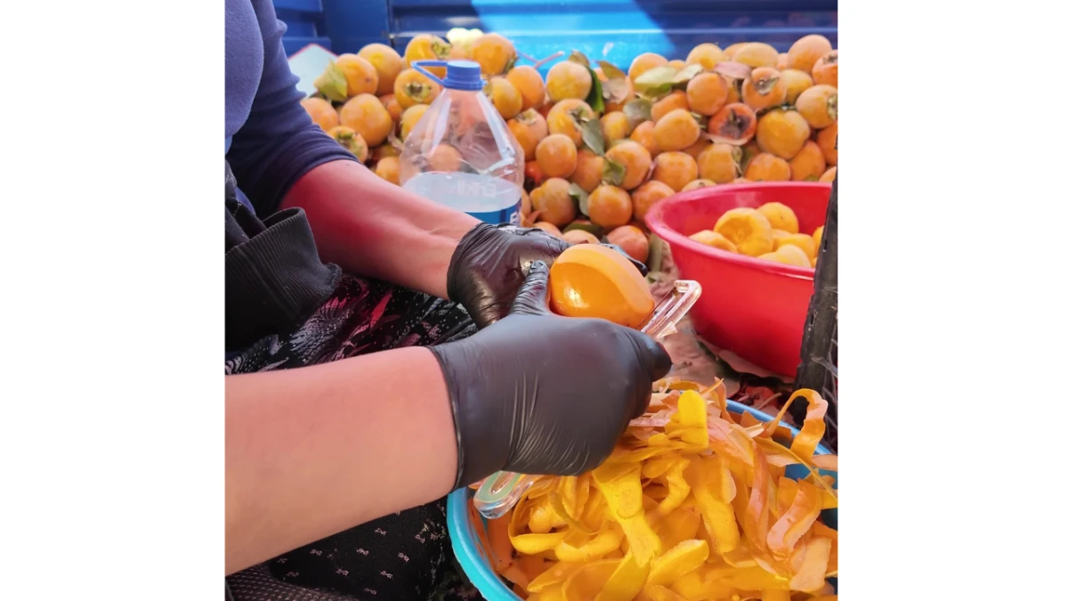 Honaz’dan tarıma yenilikçi katkı: Cennet hurması cipsi üretimi başladı