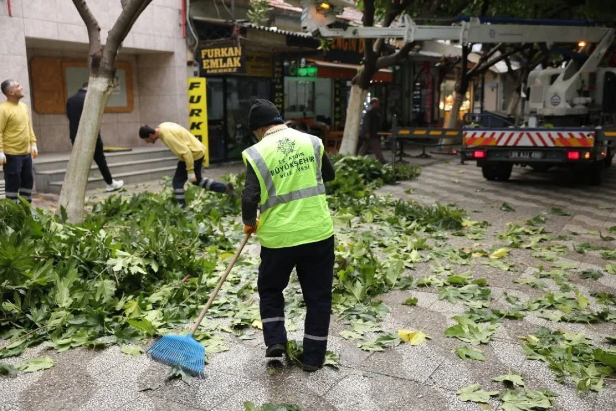 İncirliova'daki Sevgi yolundaki ağaçların bakım çalışması yapıldı