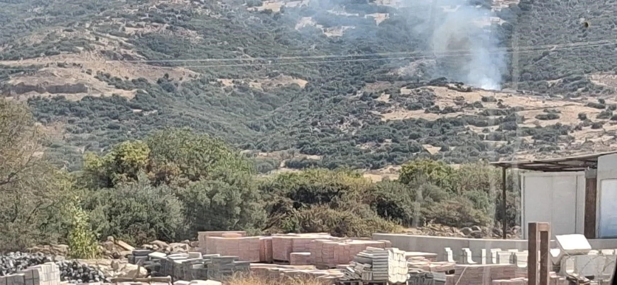 İzmir Aliağa Çıtak Mahallesi’nde makilik alan alevlere teslim oldu