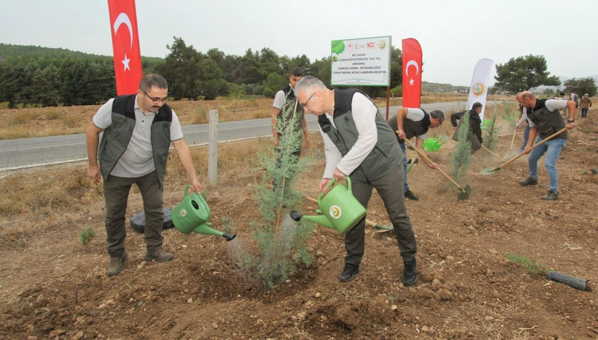 İzmir ormanları yangınlardan sonra yeniden yeşilleniyor