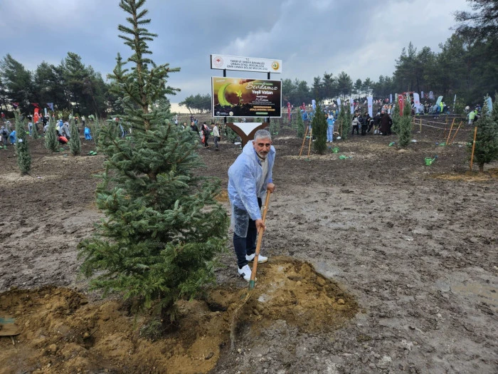 İzmir ormanları yangınlardan sonra yeniden yeşilleniyor