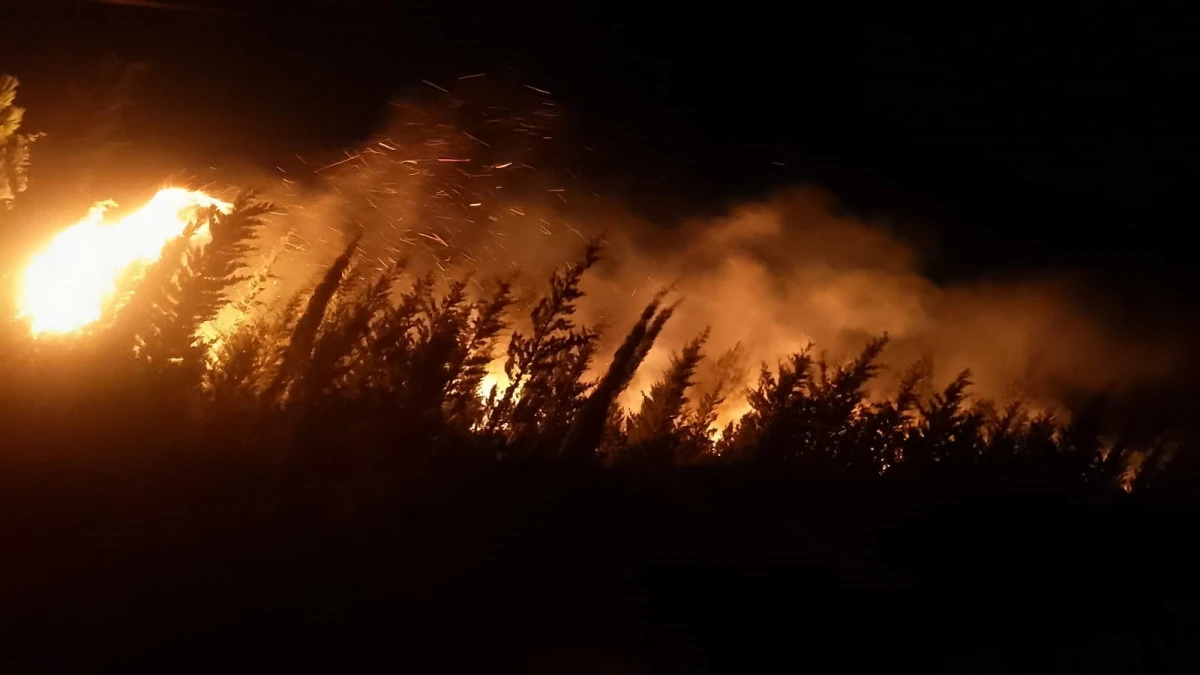 İzmir Urla’da çıkan orman yangını söndürüldü
