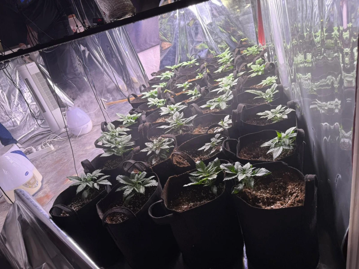 İzmir’de Narkotik ekiplerinden operasyon