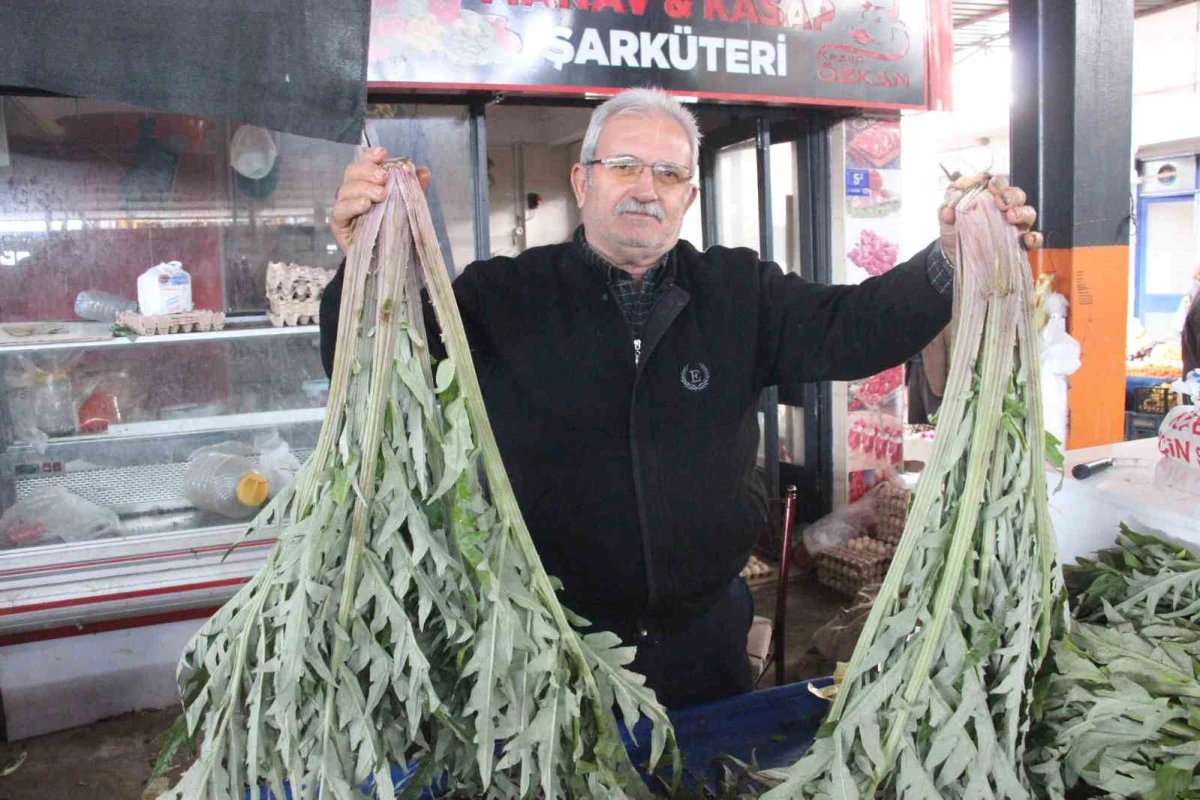 Karaciğer dostu Şifa kaynağına yoğun ilgi