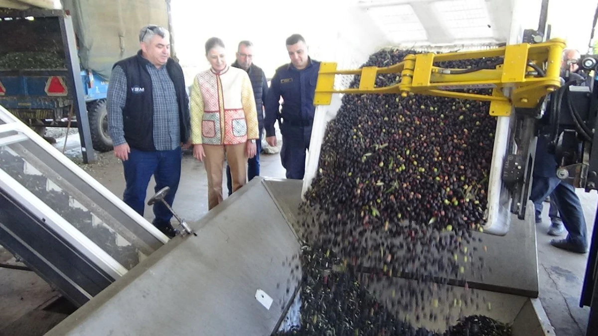 Kaymakam k&uuml;peli kan Vivoline zeytinyağı fabrikasını ziyaret etti