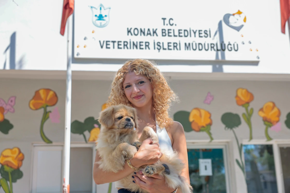 Konak Belediyesi’nden sokak hayvanlarına büyük destek