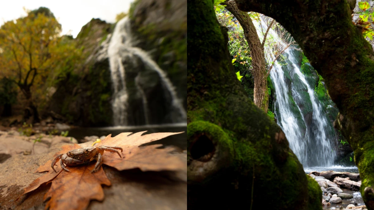Manisa ve İzmir’in Gizli Cenneti