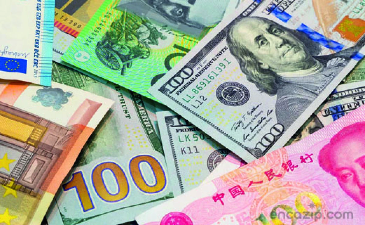 Merkez Bankası döviz rezervinde rekor kırdı