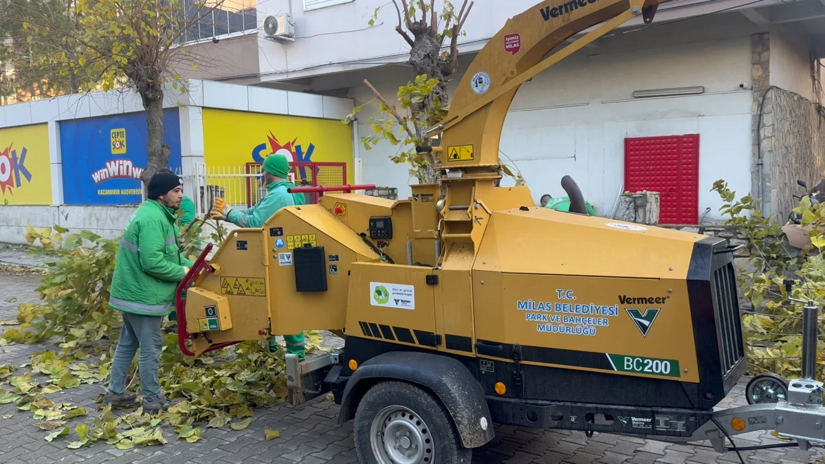 Milas Belediyesi dal &ouml;ğ&uuml;tme makinesi hizmete sundu