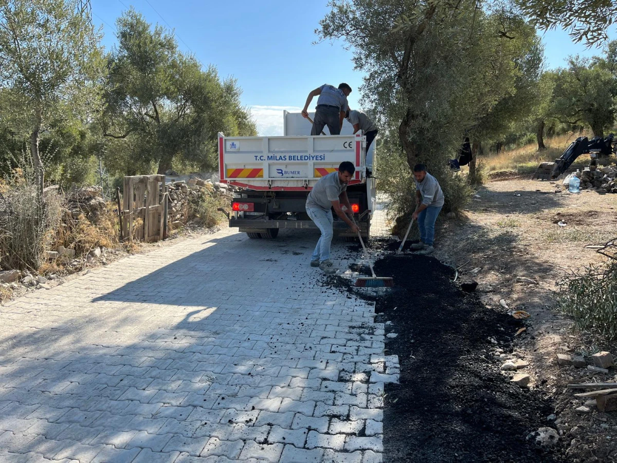 Milas’ta parke, taş duvar ve bakım çalışmaları sürüyor