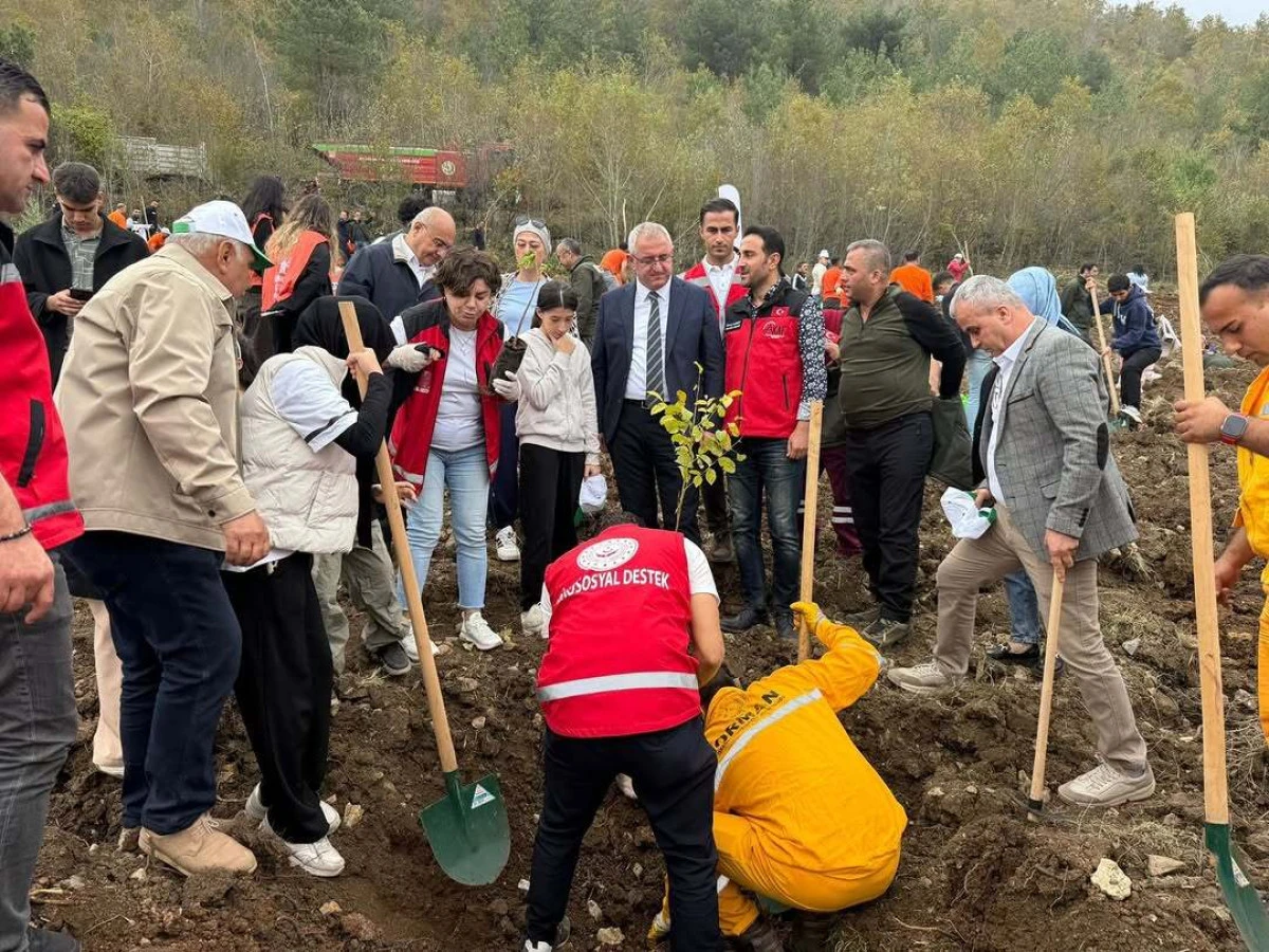 Milli Ağaçlandırma Günü’nde AKAF sahadaydı
