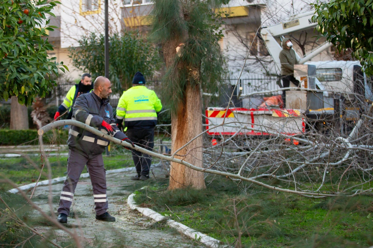 Narlıdere peyzaj &ccedil;alışmalarıyla g&uuml;zelleşiyor