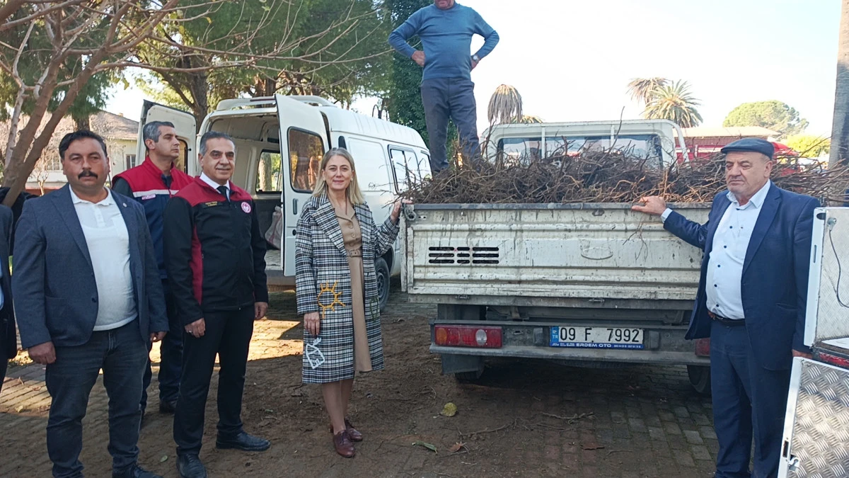 Nazilli kestaneye doyacak