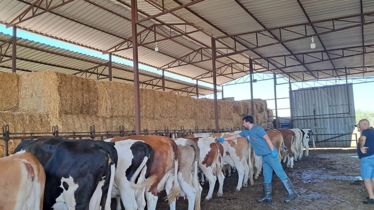 Nazilli'de 13 Mahalle Karantinada