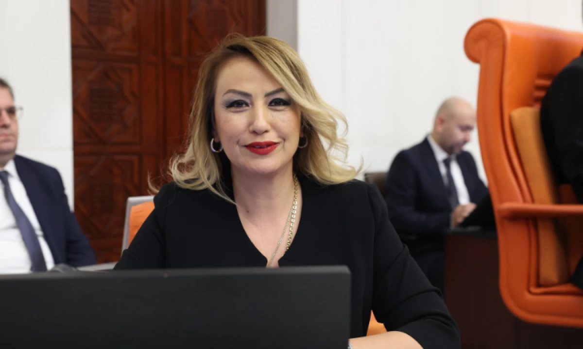 Nermin Yıldırım Kara: Sınır kapısının kapalı olması ticareti engelliyor