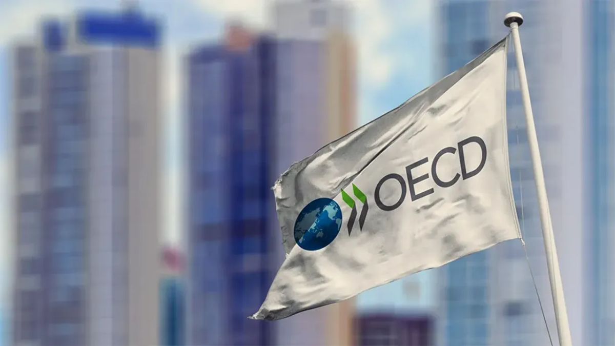 OECD'nin Türkiye İçin Karamsar Ekonomik Tahmini
