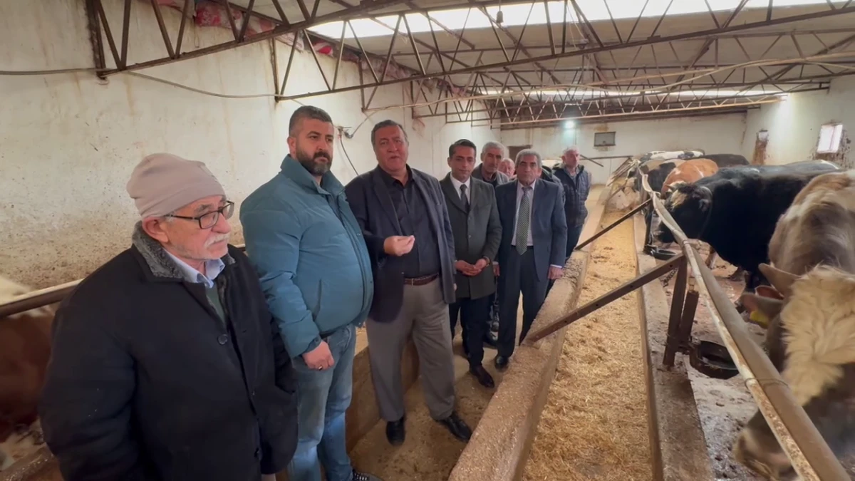 &Ouml;mer Fethi G&uuml;rer: &ldquo;Hayvan Varlığı Eriyor, İthalat Kapıda&rdquo;