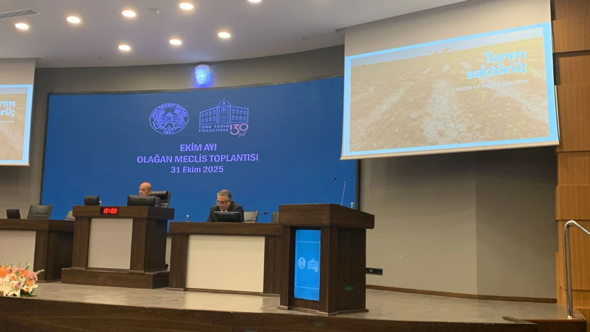 Pamuk Üretim Alanları Azalıyor, Tekstil İhracatı Kan Kaybediyor