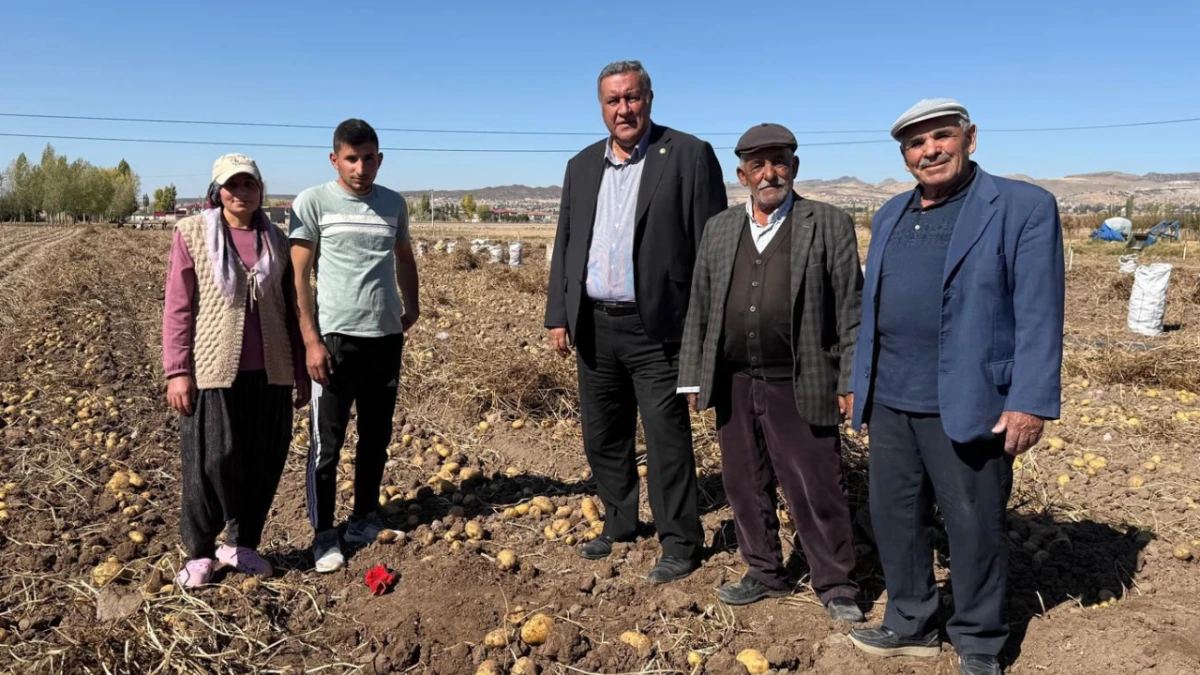Patates Tarlasında Sessizlik: Üretici Ektiğini Satamıyor
