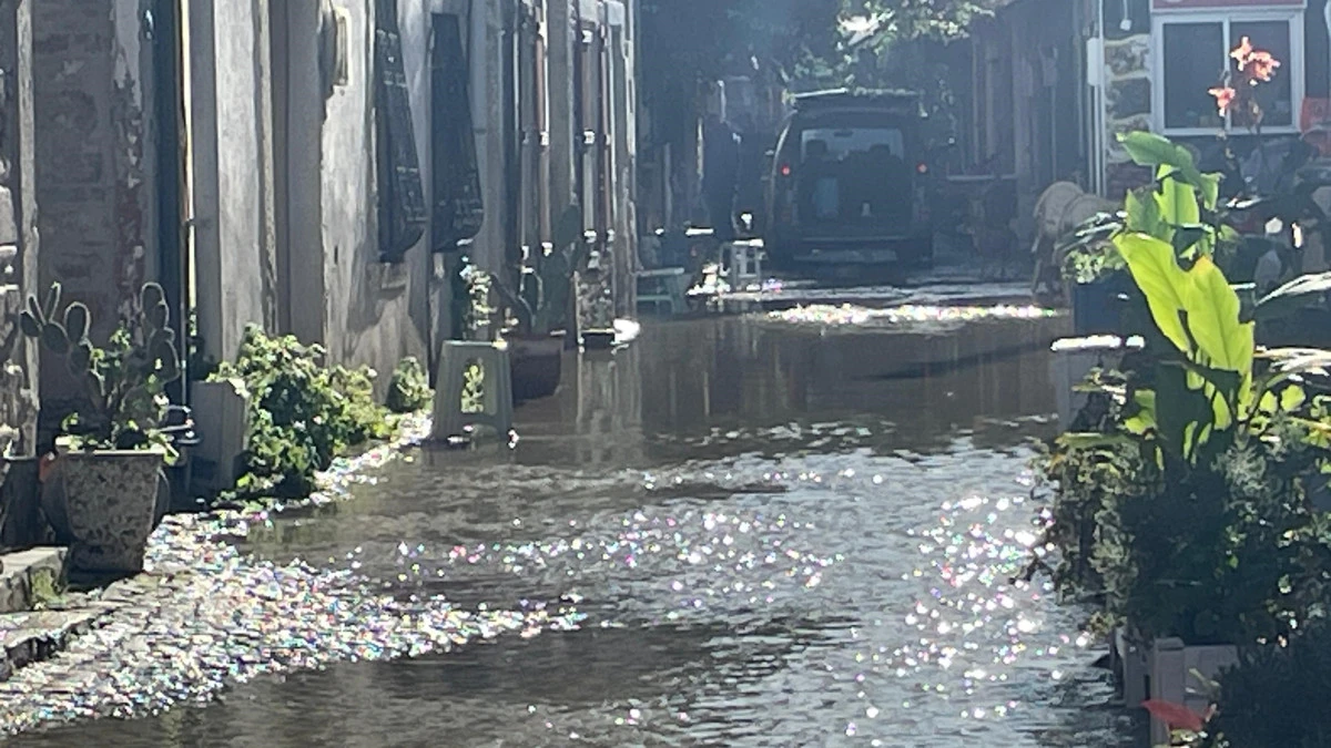 Sel Foça’da hayatı felç etti, esnaf mağdur