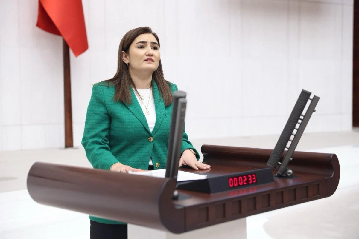 Sevda Erdan Kılı&ccedil;'tan emekli maaşları i&ccedil;in Meclis &ccedil;ağrısı